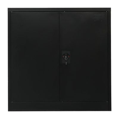Two-Door Metal Short Cabinet Shelf Storage for Home Office Gym