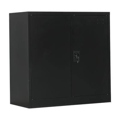 Two-Door Metal Short Cabinet Shelf Storage for Home Office Gym