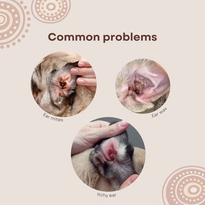 Goomaroo Ear Care Solution 120ml