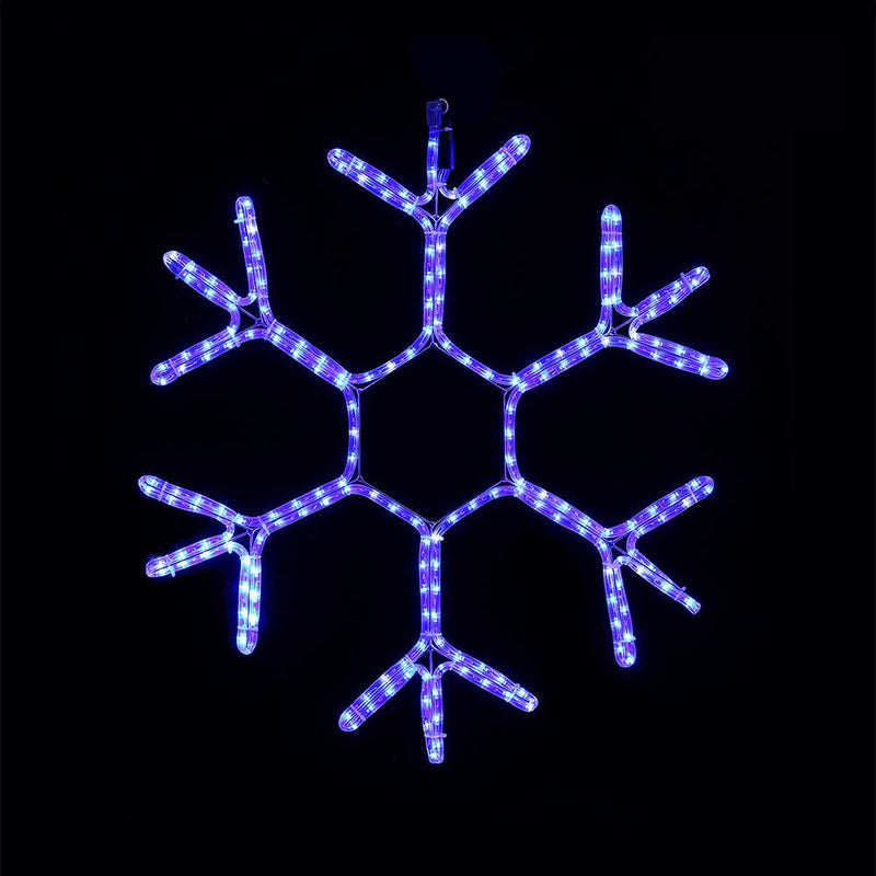 LED Ropelight Snowflake Twinkle Cool White