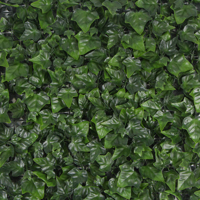 Variegated Boston Ivy Leaf Screen Green Wall Panel UV Resistant 1m X 1m (Solid Backing)