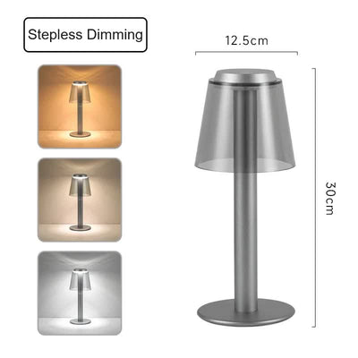 Silver Stylish Transparent Desk Lamp with Touch Control, LED, Type-C Charging - Simple and Modern Design