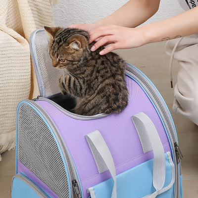 Blue And Purple Portable Pet Carrier Backpack - Spacious, Breathable, and Travel-Friendly for Cats and Small Dogs