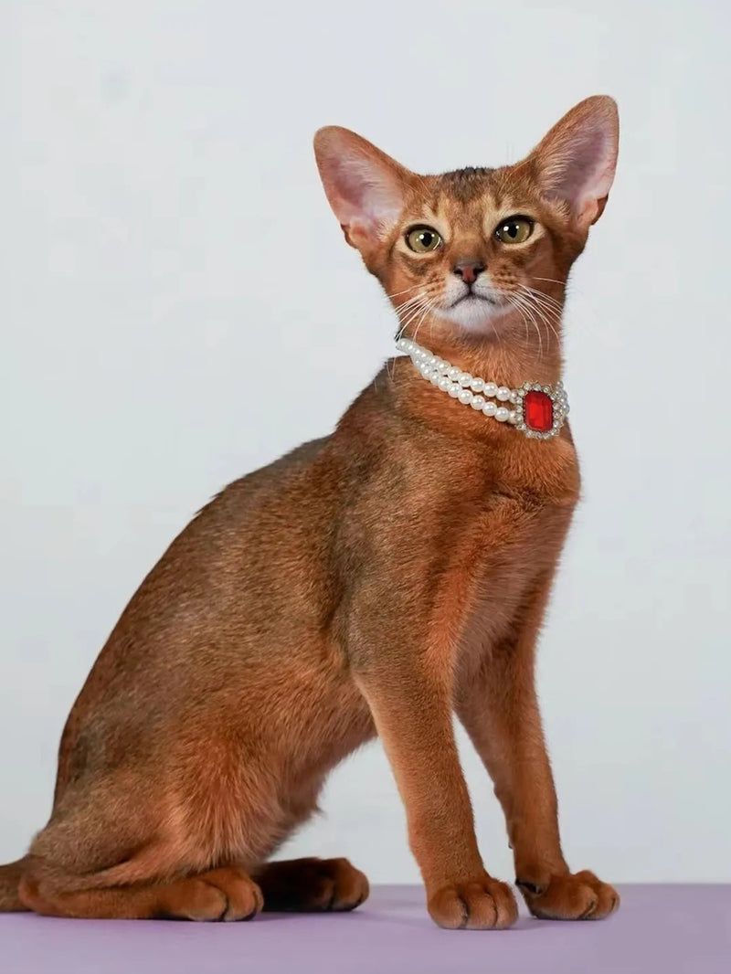 3-pcs Red Diamond  Double Strand Pearl & Rhinestone Pet Necklace - Luxury Collar for Cats & Dogs Size S (20-26CMCM)