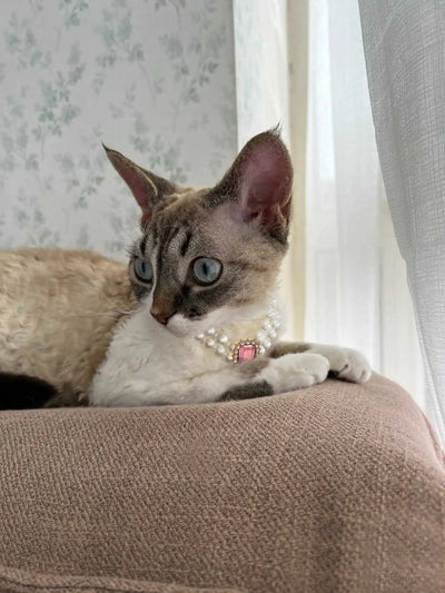 3-pcs Pink Diamond  Double Strand Pearl & Rhinestone Pet Necklace - Luxury Collar for Cats & Dogs Size L (30-36cm)