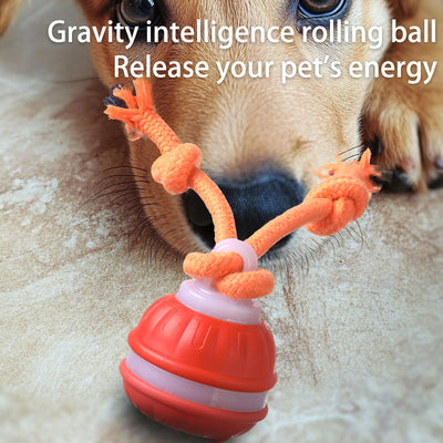Orange 2- pcs Interactive Dog Toy - Self-Moving Ball with Rope, Boredom Buster