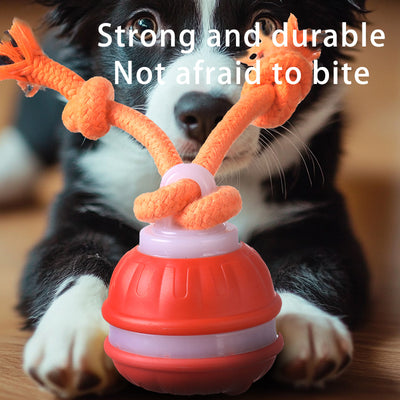 Orange 2- pcs Interactive Dog Toy - Self-Moving Ball with Rope, Boredom Buster