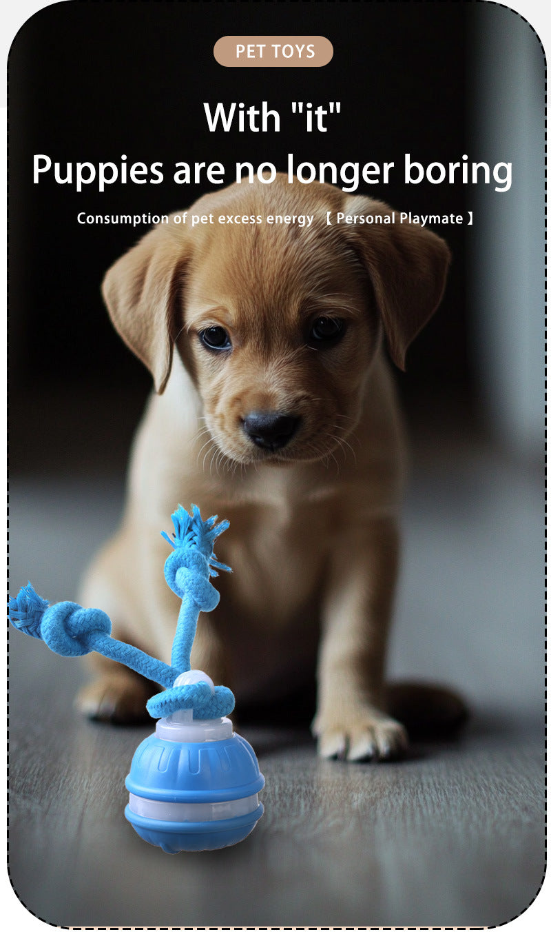 Blue 2-pcs Interactive Dog Toy - Self-Moving Ball with Rope, Boredom Buster (With Bird Calls)