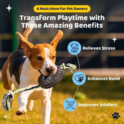 Green Interactive Tire Rope Dog Toy - Heavy Duty Chew Toy for Dental Health & Play