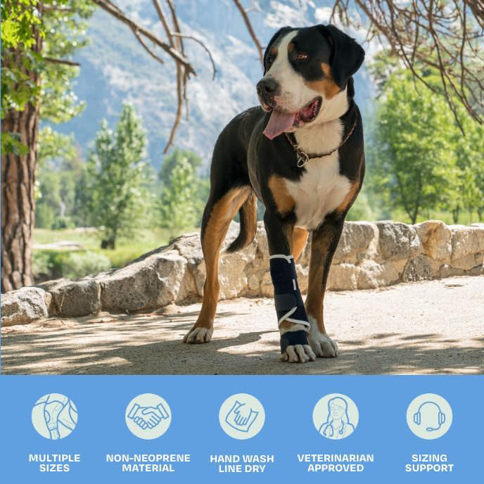 3 Pcs Size XS Dark Blue Supportive Dog Leg Brace - Adjustable Carpal/Tarsal Splint for Injury & Arthritis Relief