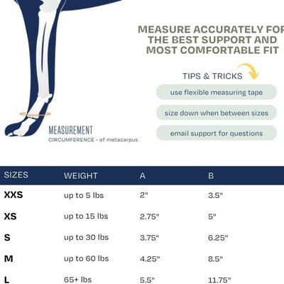 3 Pcs Size L Dark Blue Supportive Dog Leg Brace - Adjustable Carpal/Tarsal Splint for Injury & Arthritis Relief