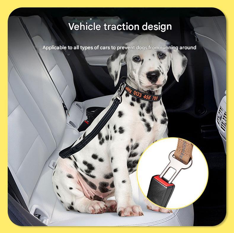 Black Shock Absorbing Dog Leash with Reflective Stitching - 135cm for Small to Large Dogs