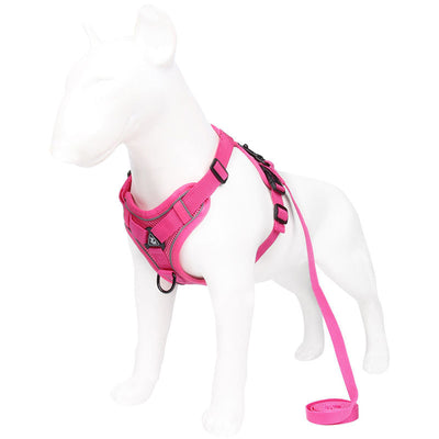 Rose Red Reflective Mesh Dog Harness and Leash Set - Adjustable No-Pull Vest - XL