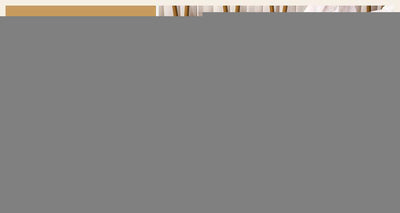 Champagne Silky Satin Pillowcase Pair - Smooth for Hair & Skin, Elastic Fitted (46x70+16cm)