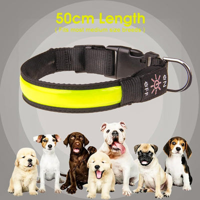 LED Dog Cat Collar USB Rechargeable Nylon Glow Flashing Light Up Safety Puppy