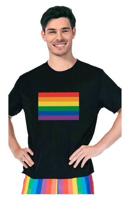 Adult Rainbow Flag T Shirt Top Tee Gay Pride LGBTQ - Black - One Size Payday Deals