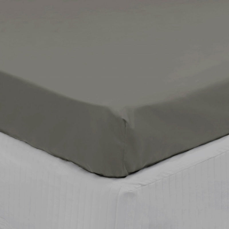 Algodon 300TC Cotton Fitted Sheet Long Single Size Charcoal Payday Deals