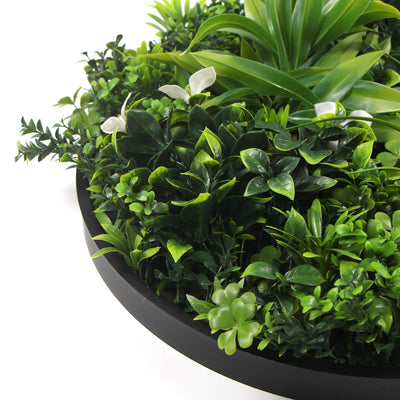 Flowering White Artificial Green Wall Disc UV Resistant 50cm (Black Frame)