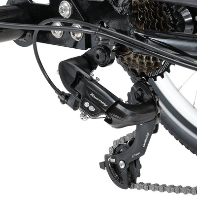 E-Free 24" E-Trike Payday Deals