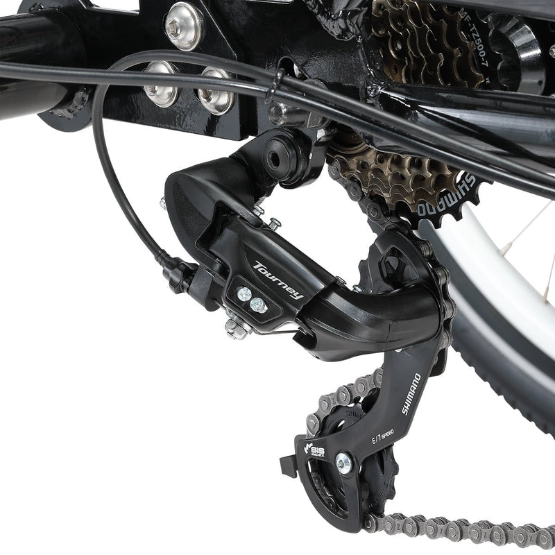 E-Free 24" E-Trike Payday Deals