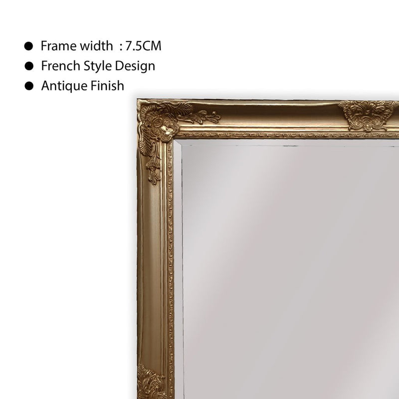 French Provincial Ornate Mirror - ANTIQUE CHAMPAGNE - X Large 100cm x 190cm Payday Deals