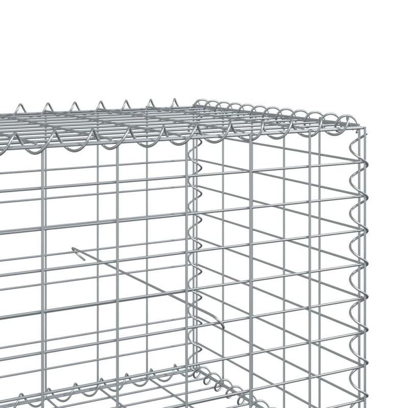 Gabion Basket with Cover 900x100x50 cm Galvanised Iron Payday Deals