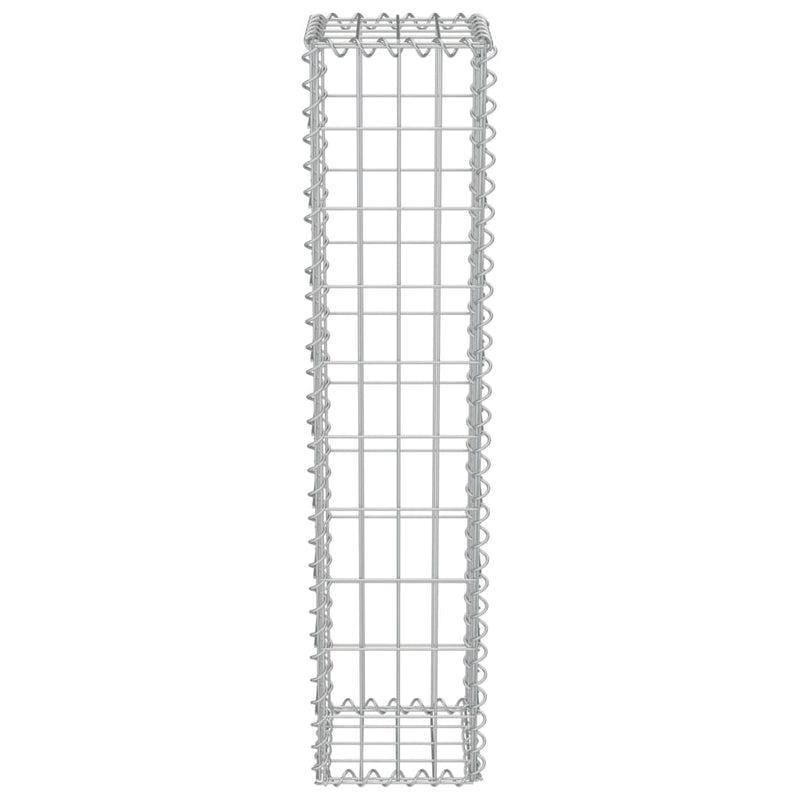 Gabion Wall with Covers Galvanised Steel 20x20x100 cm Payday Deals