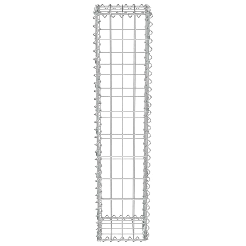 Gabion Wall with Covers Galvanised Steel 20x20x100 cm Payday Deals