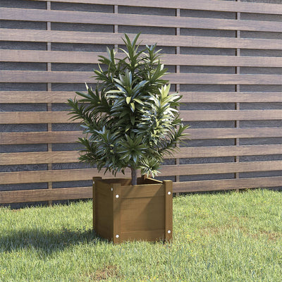 Garden Planter Honey Brown 31x31x31 cm Solid Pinewood Payday Deals