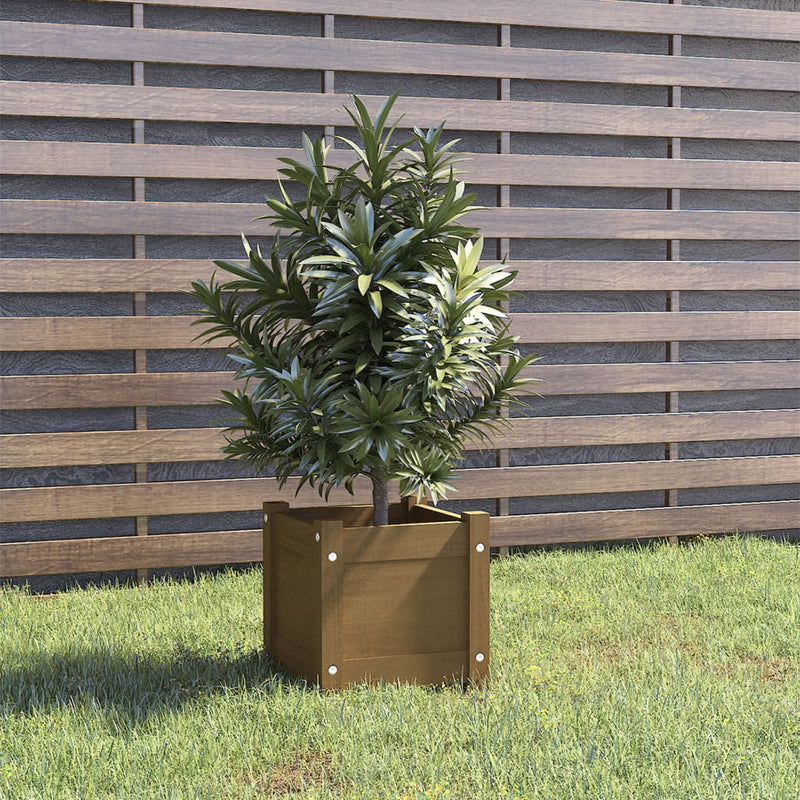Garden Planter Honey Brown 31x31x31 cm Solid Pinewood Payday Deals