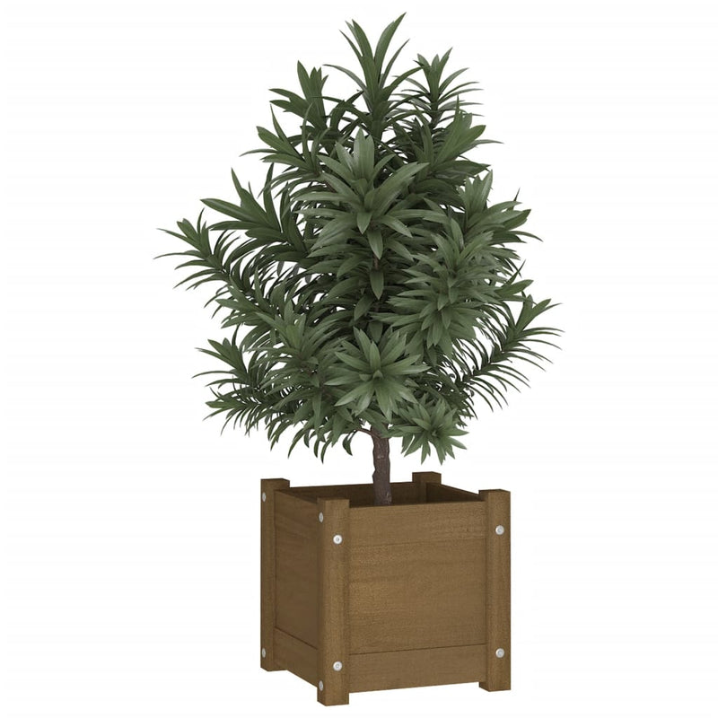 Garden Planter Honey Brown 31x31x31 cm Solid Pinewood Payday Deals