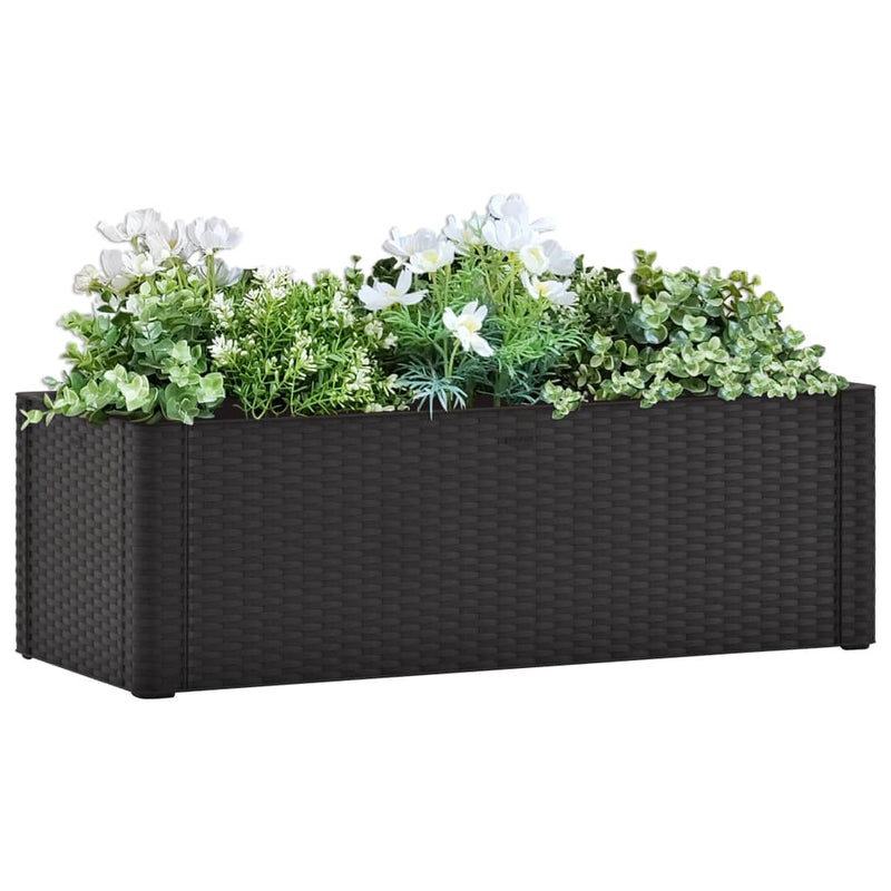 Garden Raised Bed with Self Watering System Anthracite 100x43x33 cm Payday Deals