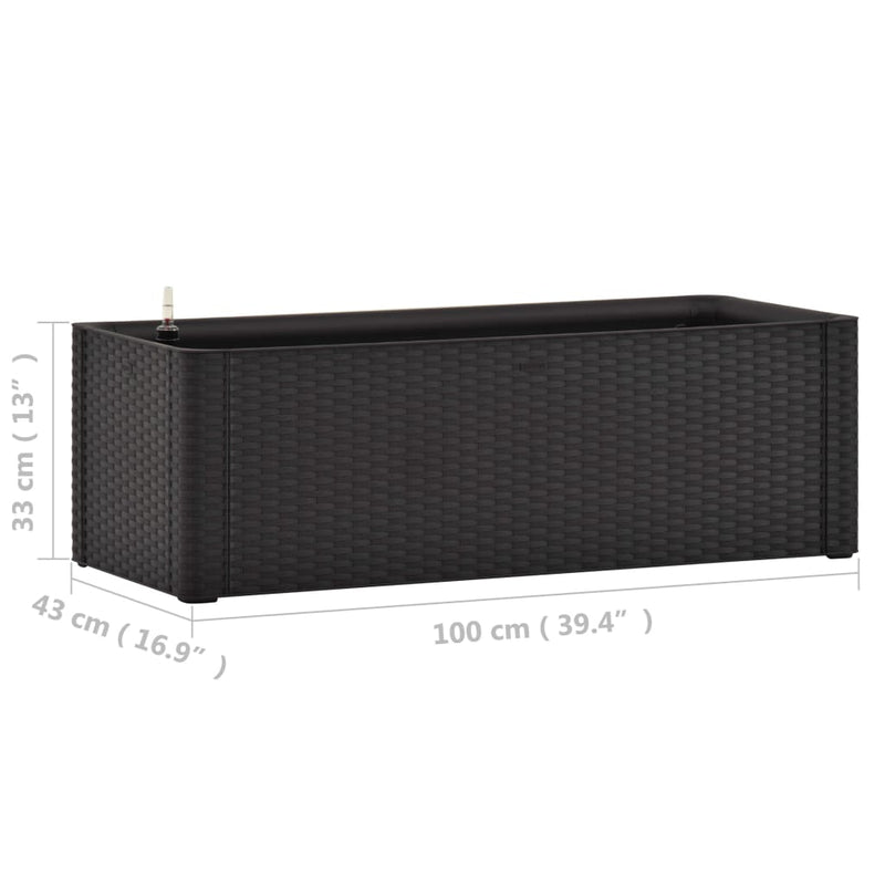 Garden Raised Bed with Self Watering System Anthracite 100x43x33 cm Payday Deals