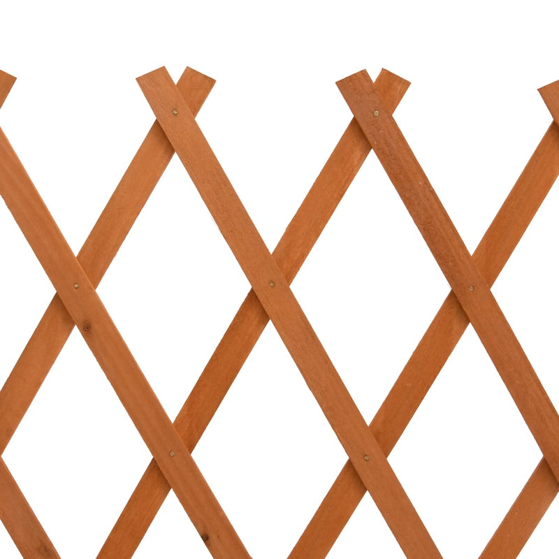 Garden Trellis Fence Orange 120x60 cm Solid Firwood Payday Deals