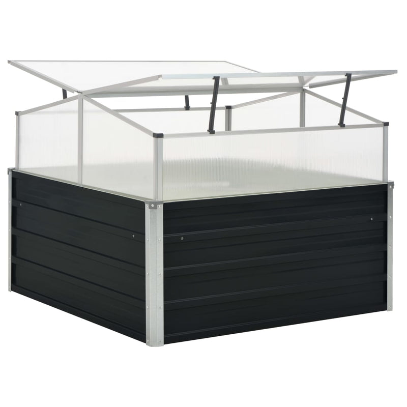 Greenhouse Anthracite 100x100x77 cm Galvanised Steel Payday Deals