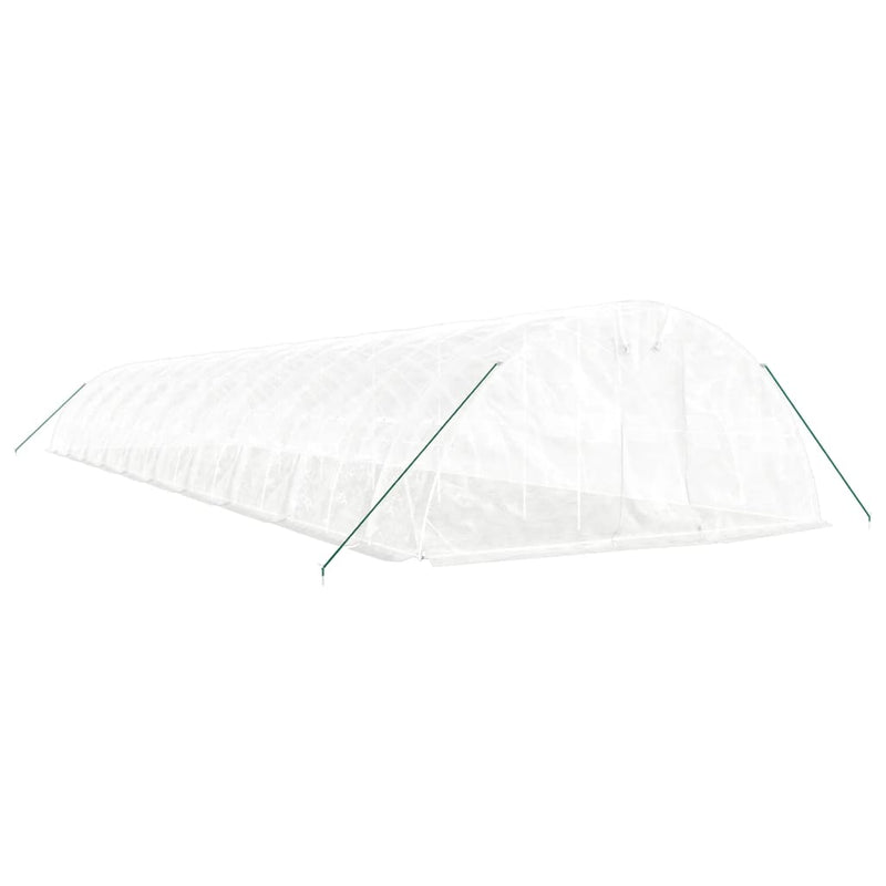 Greenhouse with Steel Frame White 100 m² 20x5x2.3 m Payday Deals