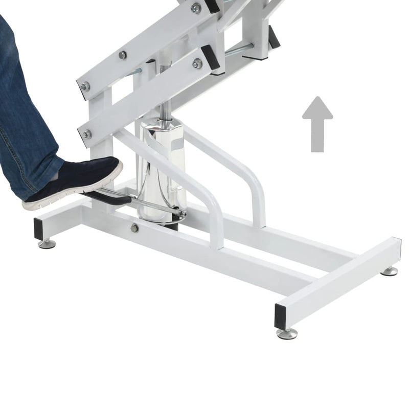 Hydraulic Bath Grooming Table for Dogs Cats Pets Adjustable Payday Deals