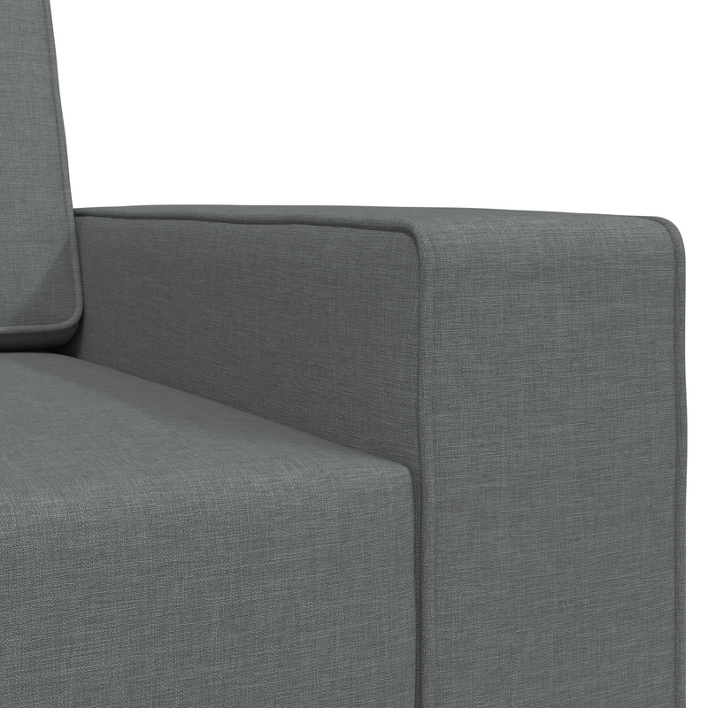 Floor Sofa Bed 2-in-1 Dark Grey 245x150x60.5 cm Fabric