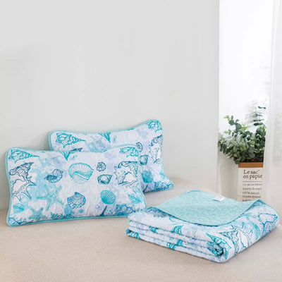 Inviting Quilted bedspread and pillowcovers set: Ideal for All Seasons - Queen size Payday Deals