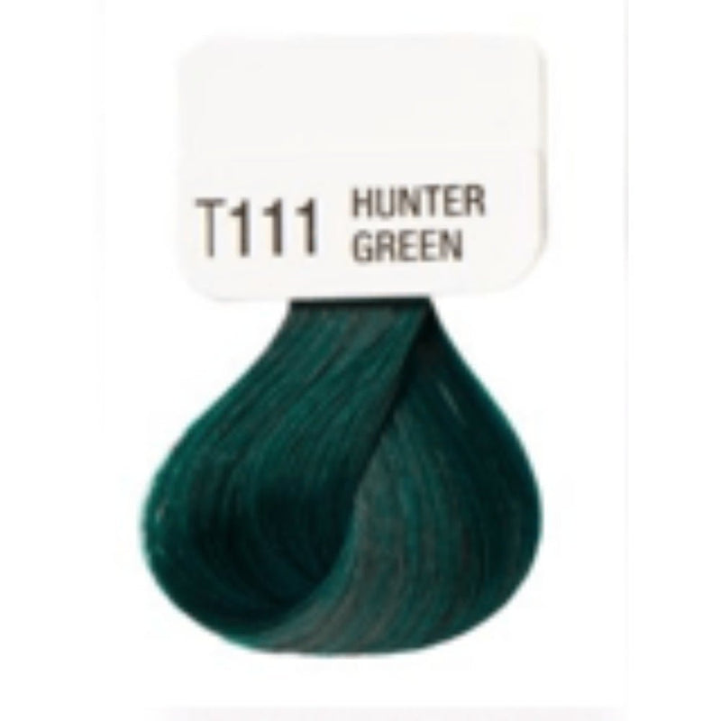 Kiss Tintation Semi-Permanent Hair Colour with Aloe Vera 148ml Hunter Green T111 Payday Deals
