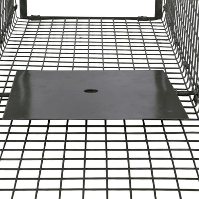Life Trap with 2 Doors Payday Deals