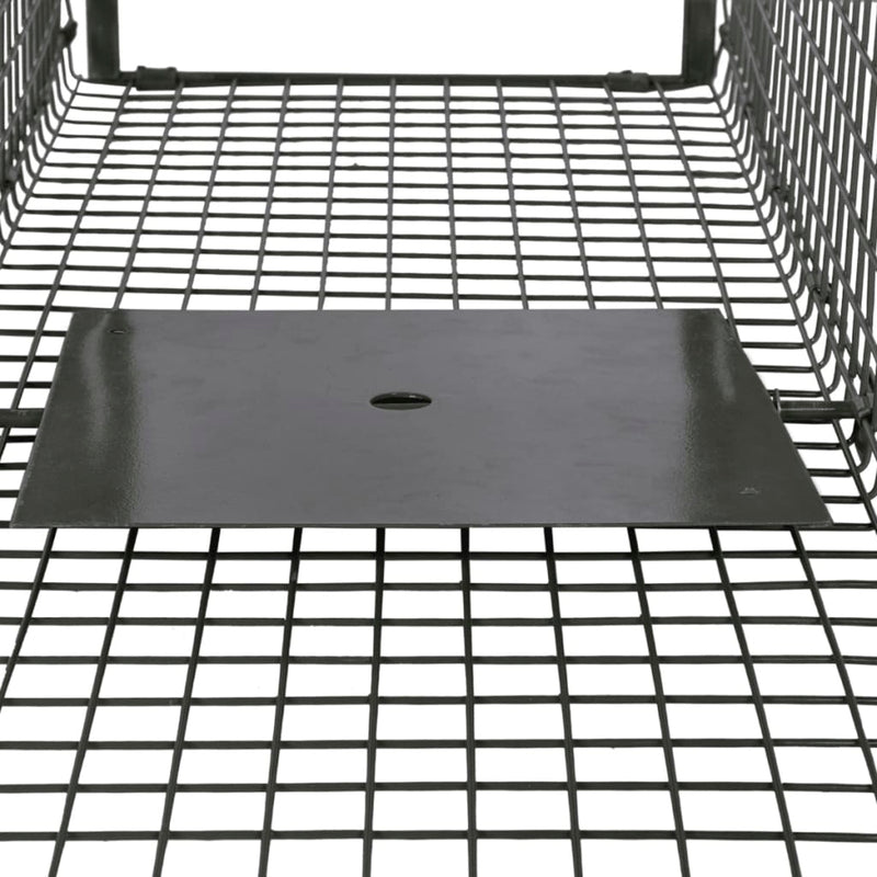 Life Trap with 2 Doors Payday Deals