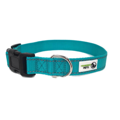 Nylon w/Reflective Stitching Dog Collar Large Turquoise Payday Deals