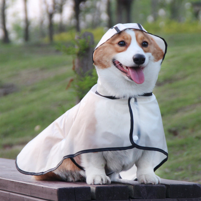 Pawfriends TPU Transparent Pet Cape Raincoat Large Dog Teddy Fado Koki Dog Clothing Payday Deals