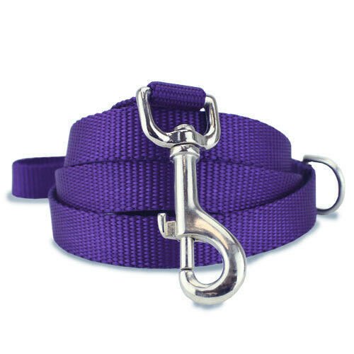Plain Nylon Dog Leash Lead Training Obedience Recall Walk - Assorted Colours Payday Deals