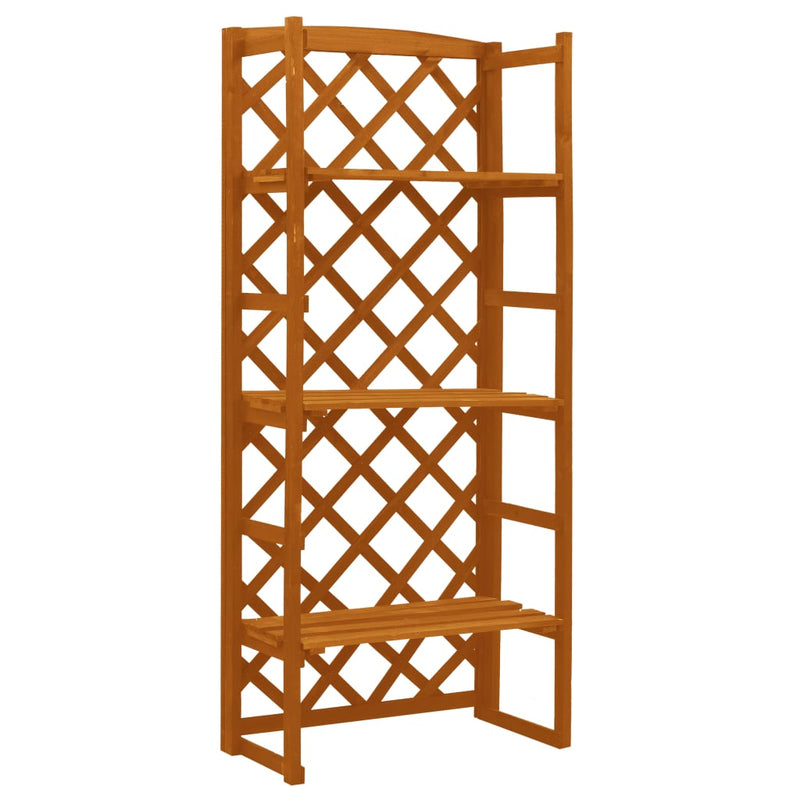 Plant Stand with Trellis Orange 60x30x140 cm Solid Firwood Payday Deals