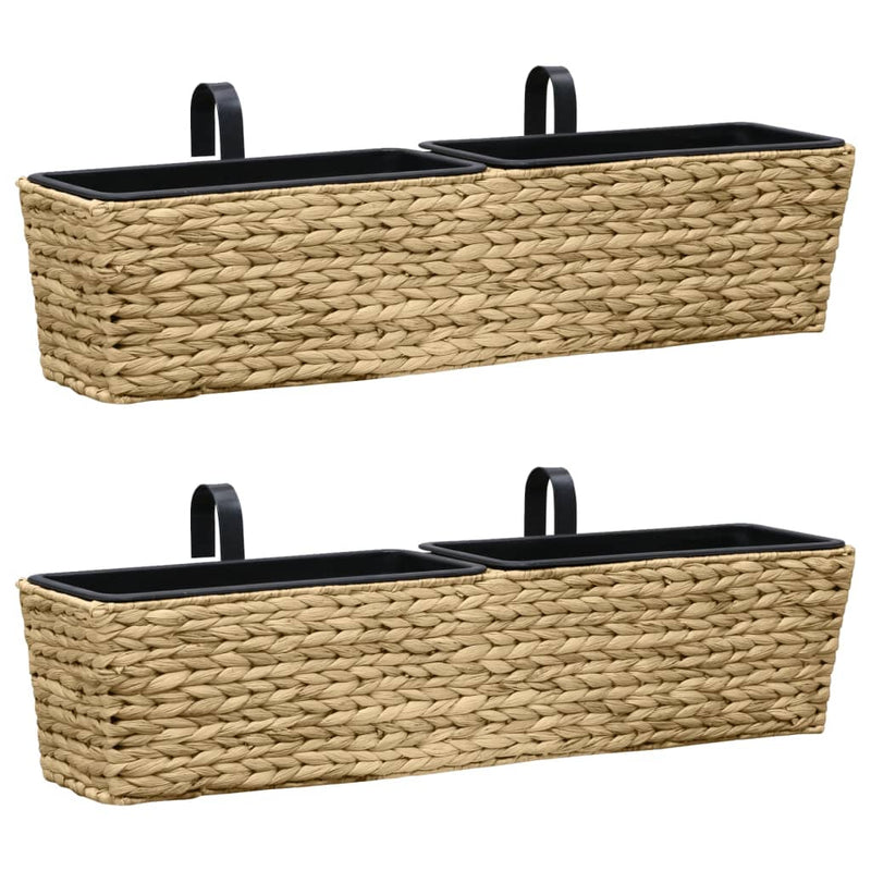 Planters 2 pcs Water Hyacinth Payday Deals