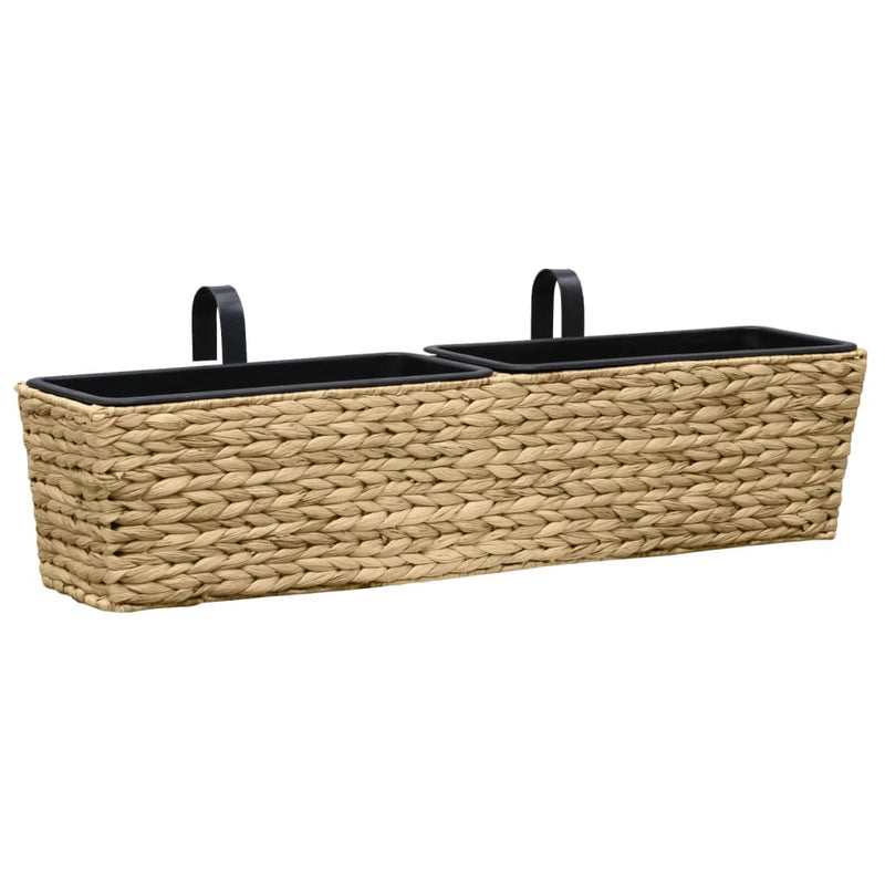 Planters 2 pcs Water Hyacinth Payday Deals
