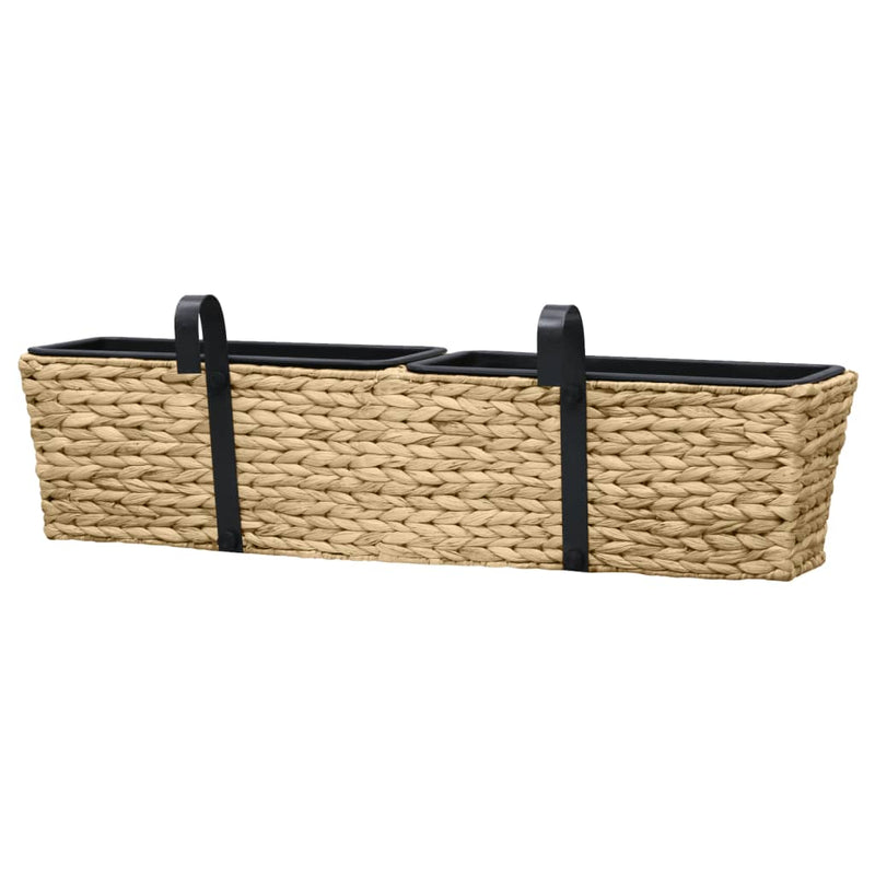 Planters 2 pcs Water Hyacinth Payday Deals