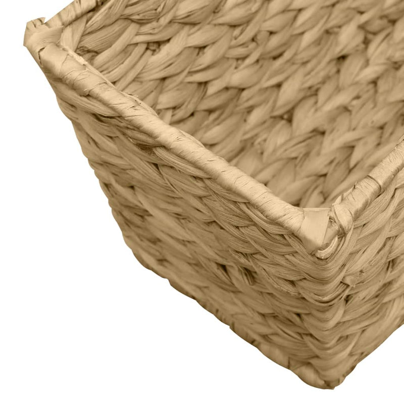 Planters 2 pcs Water Hyacinth Payday Deals
